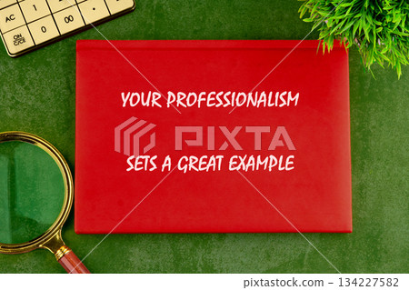 A red portfolio displays the motivational quote Your Professionalism Sets a Great Example. It rests on a textured green surface near a calculator, magnifying glass, and decorative greenery 134227582