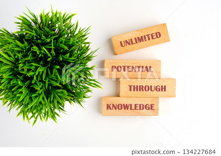 Wooden blocks spell out a powerful message emphasizing the importance of knowledge. A lush green plant adds a fresh touch, symbolizing growth and inspiration in learning Wooden blocks spell out a powerful message emphasizing the importance of knowledge. A lush green plant adds a fresh touch, symbolizing growth and inspiration in learning 134227684