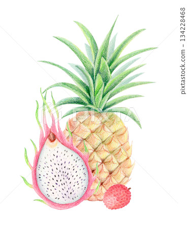 Pineapple, dragon fruit and lychee summer exotic composition, watercolor and colored pencil isolated tropical fruit illustration. Pineapple, dragon fruit and lychee summer exotic composition, watercolor and colored pencil isolated tropical fruit illustration. 134228468