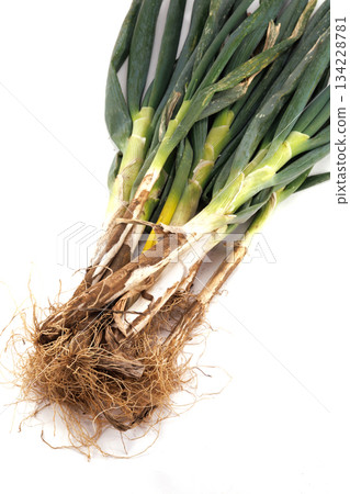Fresh muddy green onions 134228781