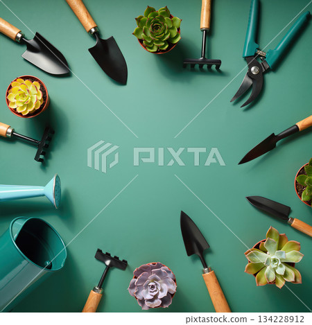 Tools and plants arranged on a green surface for gardening activities 134228912