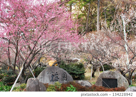 刻有「熱海梅園」字樣的石碑（靜岡縣熱海市） 134228942