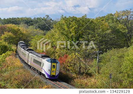 秋葉飄落之際，木羽261系特快列車「十勝」在根室本線上運行。 134229129