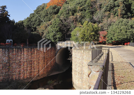 Amanogawa Tunnel (Osaka) 134229268
