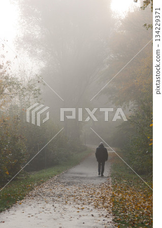 walk way in magic fog, mystical landscape under the fog, the fog creates an illusion. In the lake park of Kirchheim im Hesse Germany walk way in magic fog, mystical landscape under the fog, the fog creates an illusion. In the lake park of Kirchheim im Hesse Germany 134229371