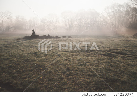 Beautiful Landscape Background Sky Clouds Sunset. idyllic landscape blue sky at sunset sunrise in yellow red brown and fiery colors in autumn or spring. 134229374