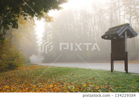 walk way in magic fog, mystical landscape under the fog, the fog creates an illusion. In the lake park of Kirchheim im Hesse Germany 134229384
