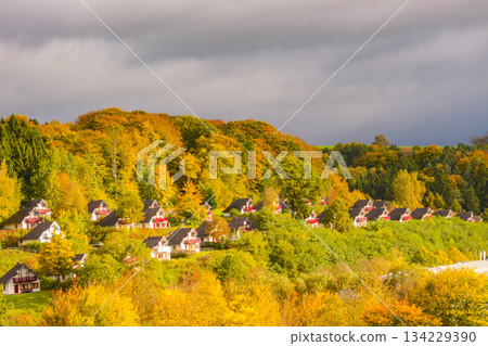 Great view on park in autumn season, yellow, red,green foliage. Beauty of wild nature theme Kircheim, Hesse, Germany Great view on park in autumn season, yellow, red,green foliage. Beauty of wild nature theme Kircheim, Hesse, Germany 134229390