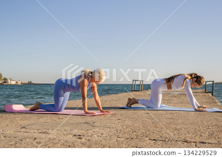 Yoga Women Beach Exercise Outdoors - Two women are doing yoga poses on a pier by the sea. They are wearing white and blue leggings and sports bras. The sky is blue and the water is calm. 134229529