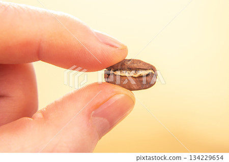 close-up of a hand holding a single roasted coffee bean, split open to reveal its texture close-up of a hand holding a single roasted coffee bean, split open to reveal its texture 134229654