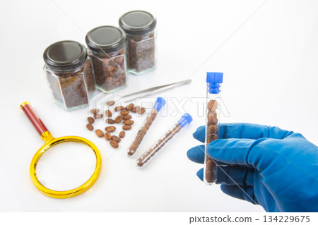A research scene showcases coffee beans in test tubes, held by a gloved hand 134229675