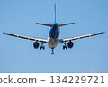 Passenger aircraft landing with landing gear, close up view in sky 134229721