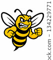 Illustration of a bold cartoon bee mascot 134229771