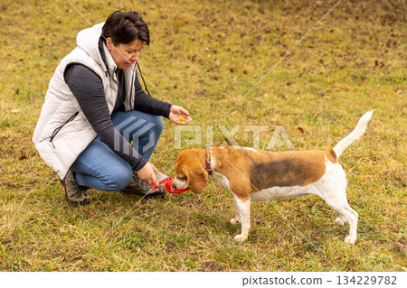Owner giving water to dog 134229782