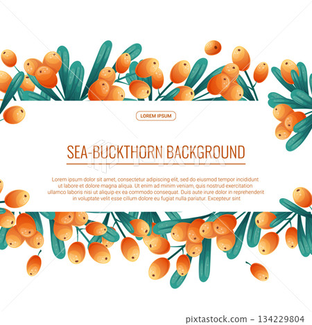 Colorful background with sea buckthorn twigs and berries. The concept of autumn, tea drinking. Vector illustration for the design of posters, flyers, postcards and invitations Colorful background with sea buckthorn twigs and berries. The concept of autumn, tea drinking. Vector illustration for the design of posters, flyers, postcards and invitations 134229804
