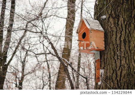 Wooden birdhouse attached to a tree trunk in a snowy winter forest scene provides shelter and feeding Wooden birdhouse attached to a tree trunk in a snowy winter forest scene provides shelter and feeding 134229844