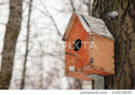 Wooden birdhouse attached to a tree trunk in a snowy winter forest scene provides shelter and feeding 134229845