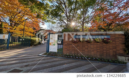 大阪服部綠地都會植物園 大阪服部綠地都會植物園 134229885