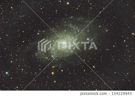 Galaxy M33 in Triangulum Galaxy M33 in Triangulum 134229943