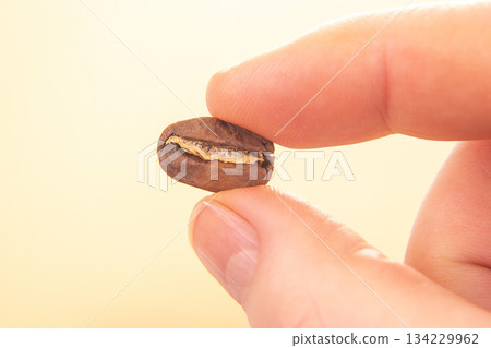 minimalist close-up of a hand holding a single roasted coffee bean 134229962