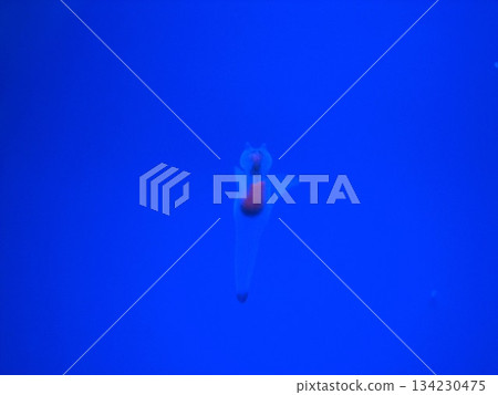 克利翁 0702 01 克利翁 0702 01 134230475