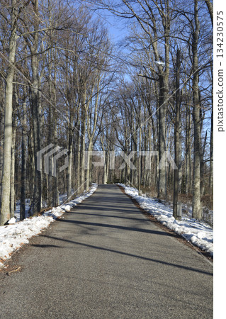 Medvednica Forest Winter Road 134230575