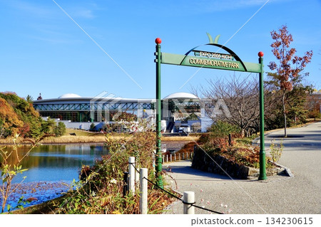 Autumn scenery at Moricoro Park: A clear day with autumn leaves and their reflections on the lake Autumn scenery at Moricoro Park: A clear day with autumn leaves and their reflections on the lake 134230615