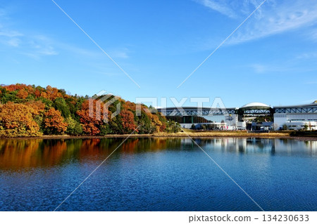 Reflections of autumn leaves at Moricoro Park on the calm lake surface on a clear autumn day Reflections of autumn leaves at Moricoro Park on the calm lake surface on a clear autumn day 134230633