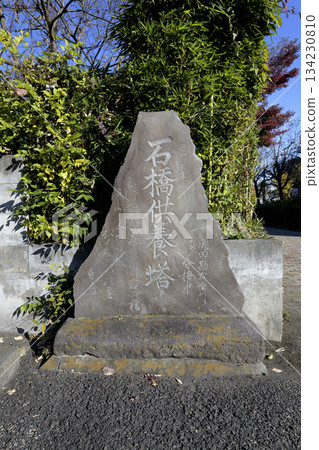 東京府中市光明院下方的石橋紀念塔 134230810