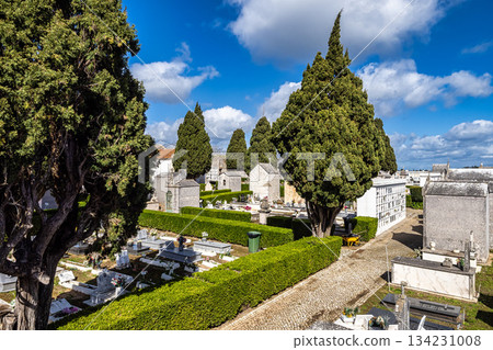 Santiago do Cacem, Portugal - Feb 26, 2025: Castle and Igreja Matriz cemetery in Santiago do Cacem, Alentejo, Portugal 134231008