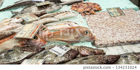 Setubal, Portugal - Feb 28, 2025: Mercado do Livramento in Setubal, Portugal. Fresh fish and food market Setubal, Portugal - Feb 28, 2025: Mercado do Livramento in Setubal, Portugal. Fresh fish and food market 134231024