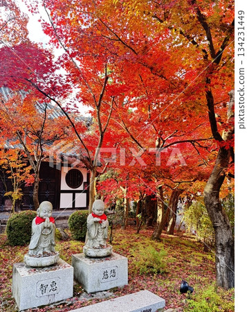 Jizo statue surrounded by autumn leaves Jizo statue surrounded by autumn leaves 134231449