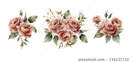 Roses with buds and leaves. Dusty pink garden flower arrangements set. Watercolor hand painted floral isolated illustration on white background for wedding design home textile porcelain crockery card Roses with buds and leaves. Dusty pink garden flower arrangements set. Watercolor hand painted floral isolated illustration on white background for wedding design home textile porcelain crockery card 134231720