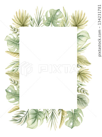 Monstera Palm Leaves Branches Tropical Exotic green plants frame. Watercolor hand painted summer pastel neutral isolated illustration on white background for nursery kids baby card logo label template Monstera Palm Leaves Branches Tropical Exotic green plants frame. Watercolor hand painted summer pastel neutral isolated illustration on white background for nursery kids baby card logo label template 134231781