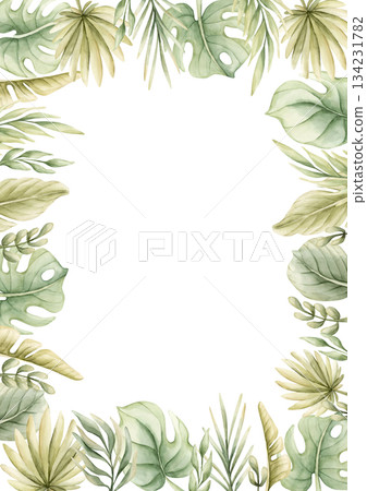 Monstera Palm Leaves Branches Tropical Exotic green plants frame. Watercolor hand painted summer pastel neutral isolated illustration on white background for nursery kids baby card logo label template Monstera Palm Leaves Branches Tropical Exotic green plants frame. Watercolor hand painted summer pastel neutral isolated illustration on white background for nursery kids baby card logo label template 134231782