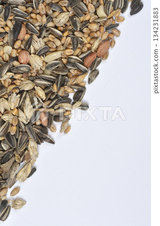 Diagonal Bird Seed Border Diagonal Bird Seed Border 134231883