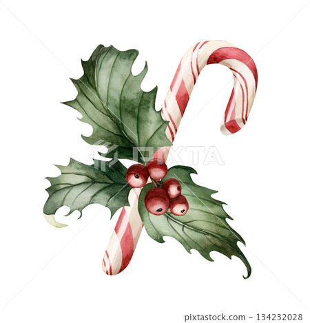 Candy cane with holly berry. Winter floral arrangement. Watercolor hand drawn isolated illustration on white background for Christmas New Year design cards holiday print home textile botanical poster Candy cane with holly berry. Winter floral arrangement. Watercolor hand drawn isolated illustration on white background for Christmas New Year design cards holiday print home textile botanical poster 134232028