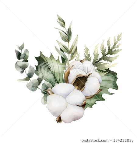 Cotton with Eucalyptus and Holly berry leaves. Winter arrangement. Watercolor hand drawn isolated illustration on white background for Christmas New Year design cards holiday print cozy home textile Cotton with Eucalyptus and Holly berry leaves. Winter arrangement. Watercolor hand drawn isolated illustration on white background for Christmas New Year design cards holiday print cozy home textile 134232033