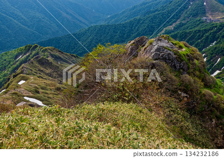 Tanigawadake, Nishikuro Ridge and Zange Rock in early summer Tanigawadake, Nishikuro Ridge and Zange Rock in early summer 134232186