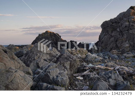 後核世界 134232479