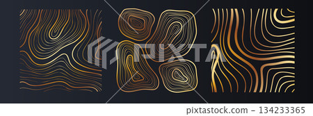 Golden Organic Line Poster Set for Premium Decor 134233365