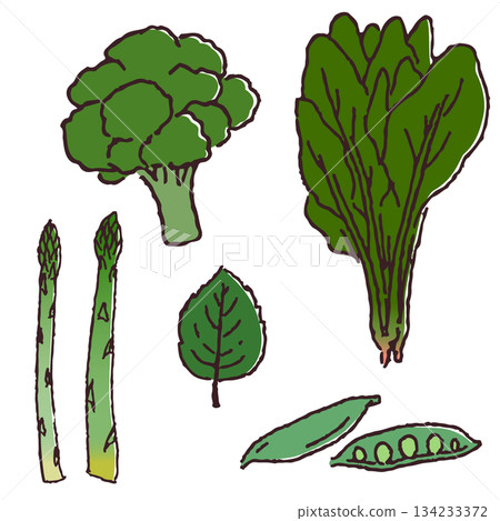 Hand-drawn vegetable set: green vegetables 134233372