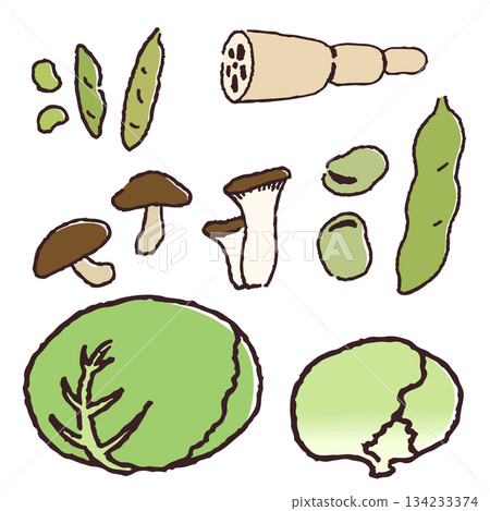 Hand drawn vegetables, beans and mushrooms Hand drawn vegetables, beans and mushrooms 134233374
