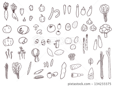Set of various vegetables hand-drawn line drawings 134233375