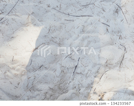 White sand beach texture natural grain soft organic pattern calm serene surface with subtle twigs and gentle shadows White sand beach texture natural grain soft organic pattern calm serene surface with subtle twigs and gentle shadows 134233567