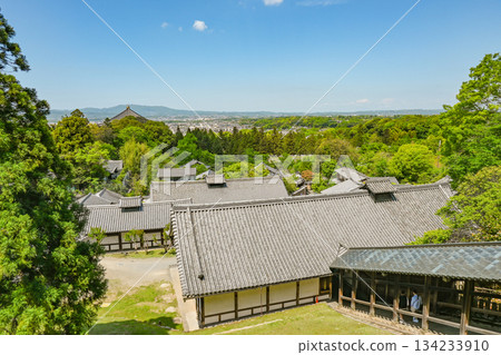 奈良·Todaiji Nigetsudo 134233910