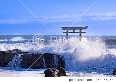 Oarai Shingo Torii 134233962