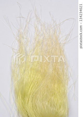 Vertical Corn Silk Strands Vertical Corn Silk Strands 134234021