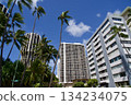 Palm trees, blue sky and buildings in Honolulu 134234075
