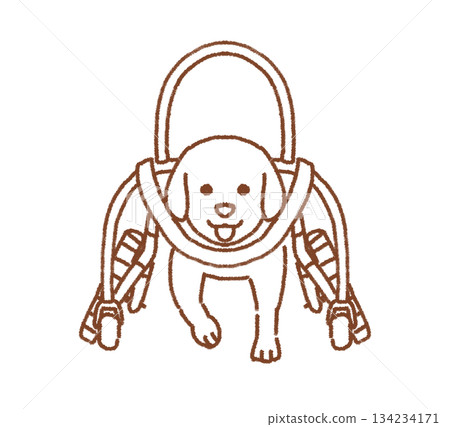 Dog walking in a wheelchair 134234171
